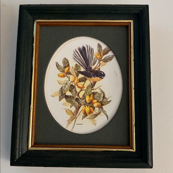 Set of Two Framed Native Birds of New Zealand - Picture 4 of 7